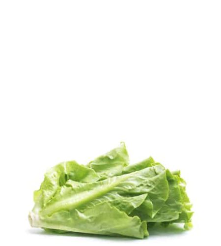 About product13 free img